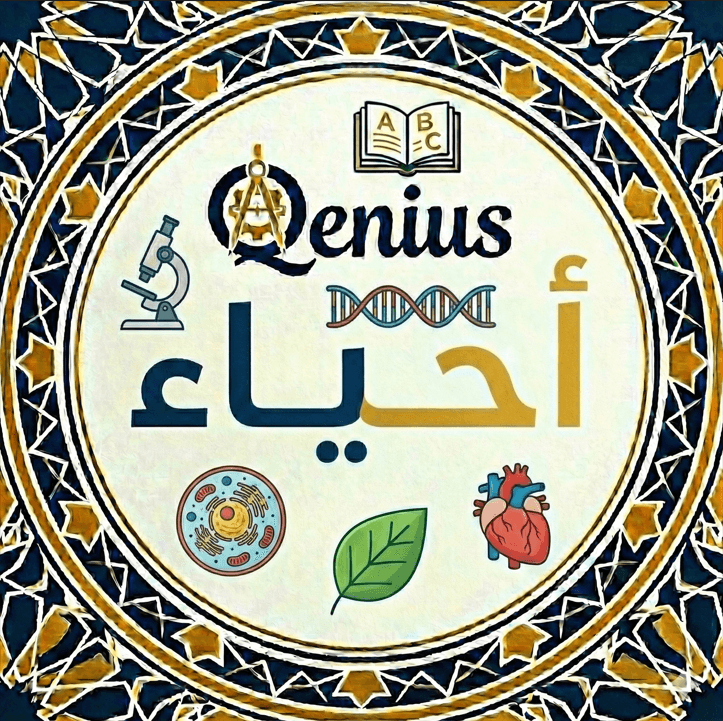أحياء